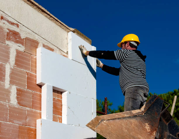 Best Commercial Insulation Contractor  in Fabens, TX