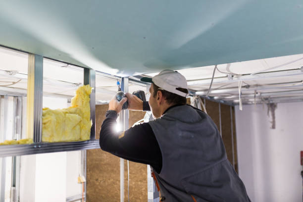 Best Insulation Inspection Services  in Fabens, TX