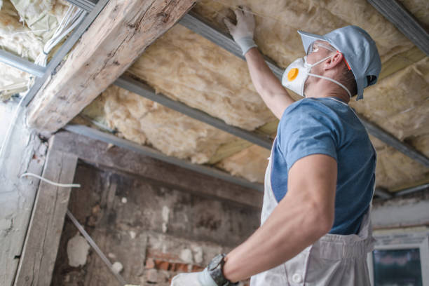 Best Insulation Removal  in Fabens, TX
