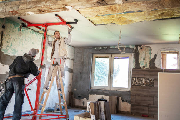 Best Home Insulation Services  in Fabens, TX