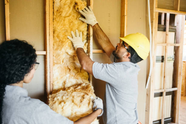 Best Blown-in Insulation  in Fabens, TX