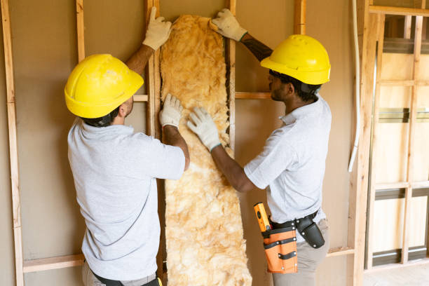 Best Attic Insulation Installation  in Fabens, TX