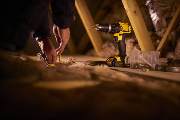 Best Professional Insulation Contractor  in Fabens, TX