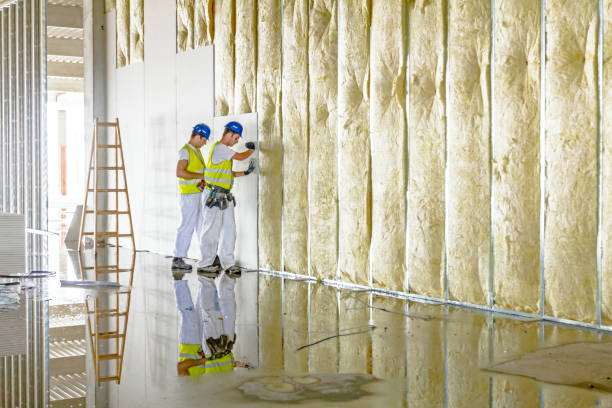 Best Wall Insulation Contractor  in Fabens, TX